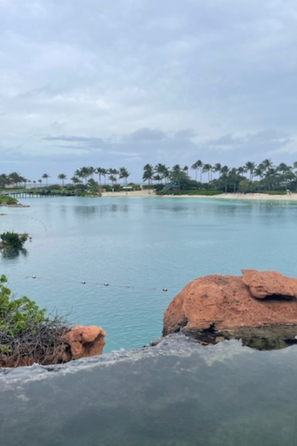 Cruise Brothers Travel Agent Kim L Williams